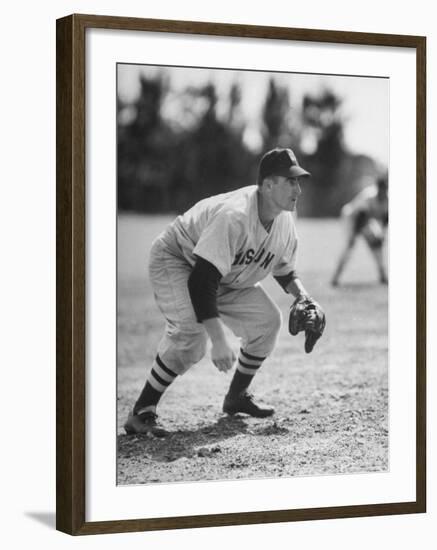 Red Sox John Pesky Getting Ready for the Hit-Frank Scherschel-Framed Premium Photographic Print