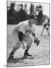 Red Sox John Pesky Getting Ready for the Hit-Frank Scherschel-Mounted Premium Photographic Print