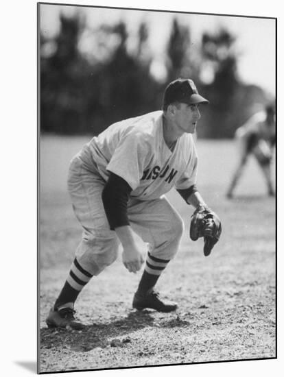 Red Sox John Pesky Getting Ready for the Hit-Frank Scherschel-Mounted Premium Photographic Print