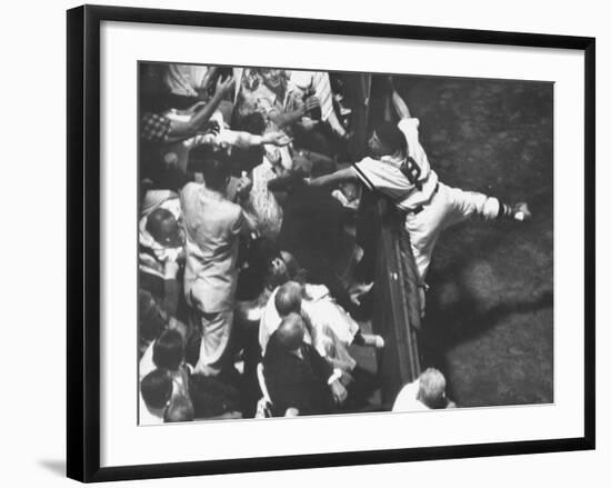 Red Sox Player Sammy White Reaching into Grandstands for Foul Ball Against Chicago White Sox-Francis Miller-Framed Premium Photographic Print
