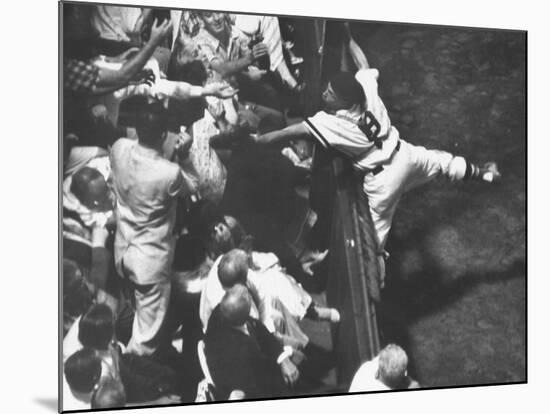 Red Sox Player Sammy White Reaching into Grandstands for Foul Ball Against Chicago White Sox-Francis Miller-Mounted Premium Photographic Print