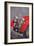 Red Sp.25 Alvis-Peter Miller-Framed Giclee Print