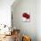 Red Splendor 2-Soraya Chemaly-Mounted Giclee Print displayed on a wall