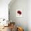 Red Splendor 2-Soraya Chemaly-Framed Giclee Print displayed on a wall