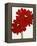 Red Splendor I-Soraya Chemaly-Framed Premier Image Canvas