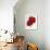 Red Splendor I-Soraya Chemaly-Framed Giclee Print displayed on a wall