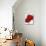 Red Splendor I-Soraya Chemaly-Mounted Giclee Print displayed on a wall