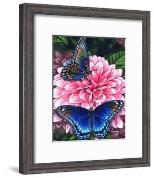Red Spotted Purple-Marilyn Barkhouse-Framed Art Print