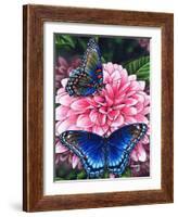 Red Spotted Purple-Marilyn Barkhouse-Framed Art Print