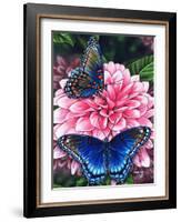 Red Spotted Purple-Marilyn Barkhouse-Framed Art Print