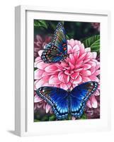 Red Spotted Purple-Marilyn Barkhouse-Framed Art Print