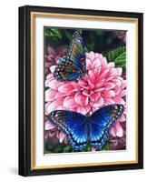 Red Spotted Purple-Marilyn Barkhouse-Framed Art Print