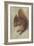 Red Squirrel, 1578 (W/C and Gouache on Parchment)-Hans Hoffmann-Framed Giclee Print