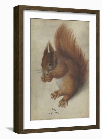 Red Squirrel, 1578 (W/C and Gouache on Parchment)-Hans Hoffmann-Framed Giclee Print