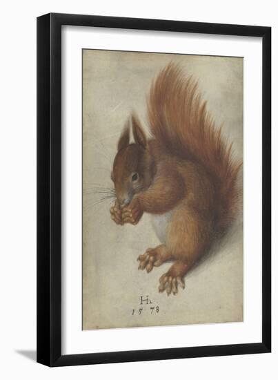 Red Squirrel, 1578 (W/C and Gouache on Parchment)-Hans Hoffmann-Framed Giclee Print