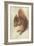 Red Squirrel by Hans Hoffmann-Hans Hoffmann-Framed Giclee Print