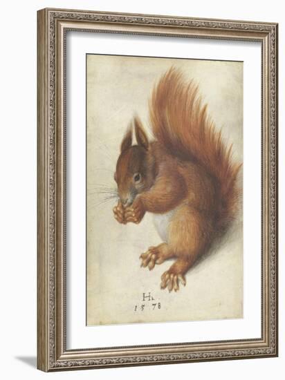 Red Squirrel by Hans Hoffmann-Hans Hoffmann-Framed Giclee Print