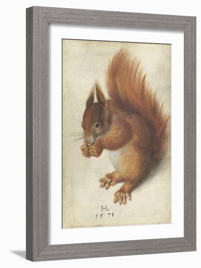 Red Squirrel by Hans Hoffmann-Hans Hoffmann-Framed Giclee Print