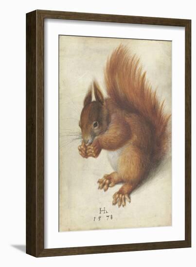 Red Squirrel by Hans Hoffmann-Hans Hoffmann-Framed Giclee Print