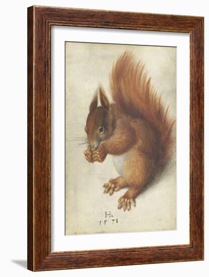 Red Squirrel by Hans Hoffmann-Hans Hoffmann-Framed Giclee Print
