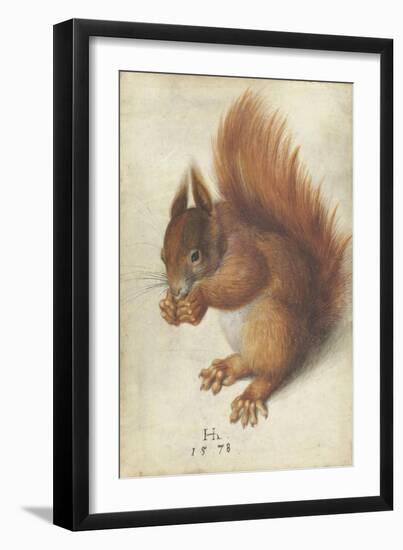 Red Squirrel by Hans Hoffmann-Hans Hoffmann-Framed Giclee Print