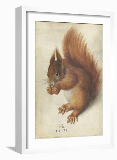 Red Squirrel by Hans Hoffmann-Hans Hoffmann-Framed Giclee Print