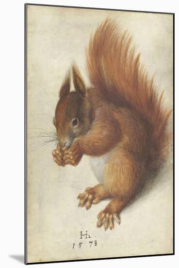 Red Squirrel by Hans Hoffmann-Hans Hoffmann-Mounted Giclee Print