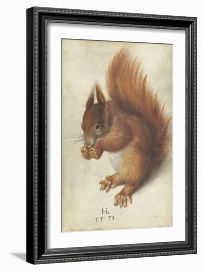 Red Squirrel by Hans Hoffmann-Hans Hoffmann-Framed Giclee Print