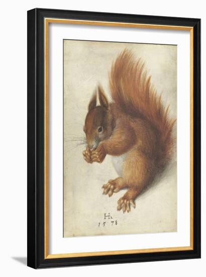 Red Squirrel by Hans Hoffmann-Hans Hoffmann-Framed Giclee Print