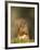 Red Squirrel Feeding, Cairngorms, Scotland, UK-Andy Sands-Framed Photographic Print