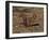 Red Squirrel, Sciurus Vulgaris, Formby, Liverpool, England, United Kingdom-Steve & Ann Toon-Framed Photographic Print