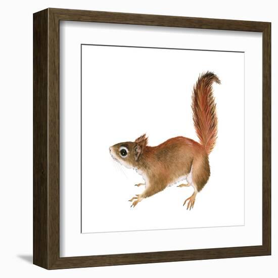 Red Squirrel (Sciurus Vulgaris), Mammals-Encyclopaedia Britannica-Framed Art Print