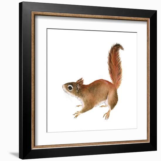 Red Squirrel (Sciurus Vulgaris), Mammals-Encyclopaedia Britannica-Framed Art Print