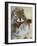 Red Squirrel, Tamiasciurus Hudsonicus, Maligne Canyon, Jasper National Park, Alberta, Canada-Paul Colangelo-Framed Photographic Print