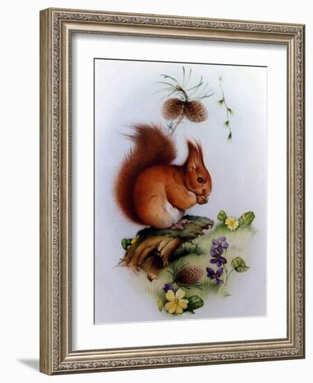 Red Squirrel with Primroses and Violets-Edward Julius Detmold-Framed Giclee Print