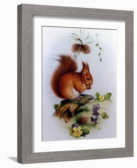 Red Squirrel with Primroses and Violets-Edward Julius Detmold-Framed Giclee Print