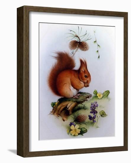 Red Squirrel with Primroses and Violets-Edward Julius Detmold-Framed Giclee Print