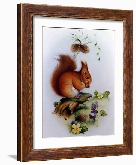 Red Squirrel with Primroses and Violets-Edward Julius Detmold-Framed Giclee Print