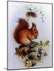 Red Squirrel with Primroses and Violets-Edward Julius Detmold-Mounted Giclee Print