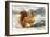 Red Squirrel-null-Framed Photographic Print