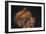 Red Squirrel-Andre Villeneuve-Framed Photographic Print