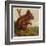 Red Squirrel-null-Framed Art Print