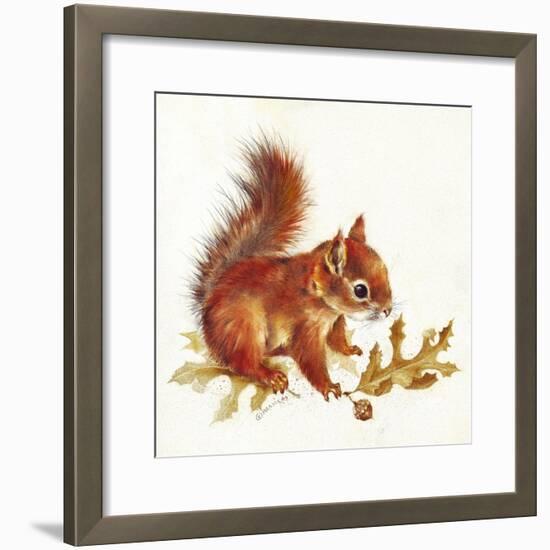 Red Squirrel-Peggy Harris-Framed Giclee Print