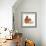 Red Squirrel-Peggy Harris-Framed Giclee Print displayed on a wall