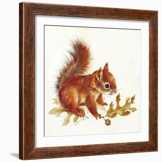 Red Squirrel-Peggy Harris-Framed Giclee Print