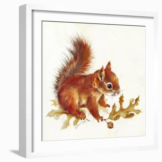 Red Squirrel-Peggy Harris-Framed Giclee Print