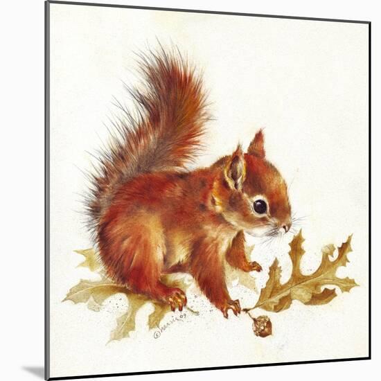 Red Squirrel-Peggy Harris-Mounted Giclee Print
