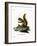 Red Squirrel-null-Framed Giclee Print