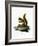 Red Squirrel-null-Framed Giclee Print