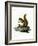 Red Squirrel-null-Framed Giclee Print